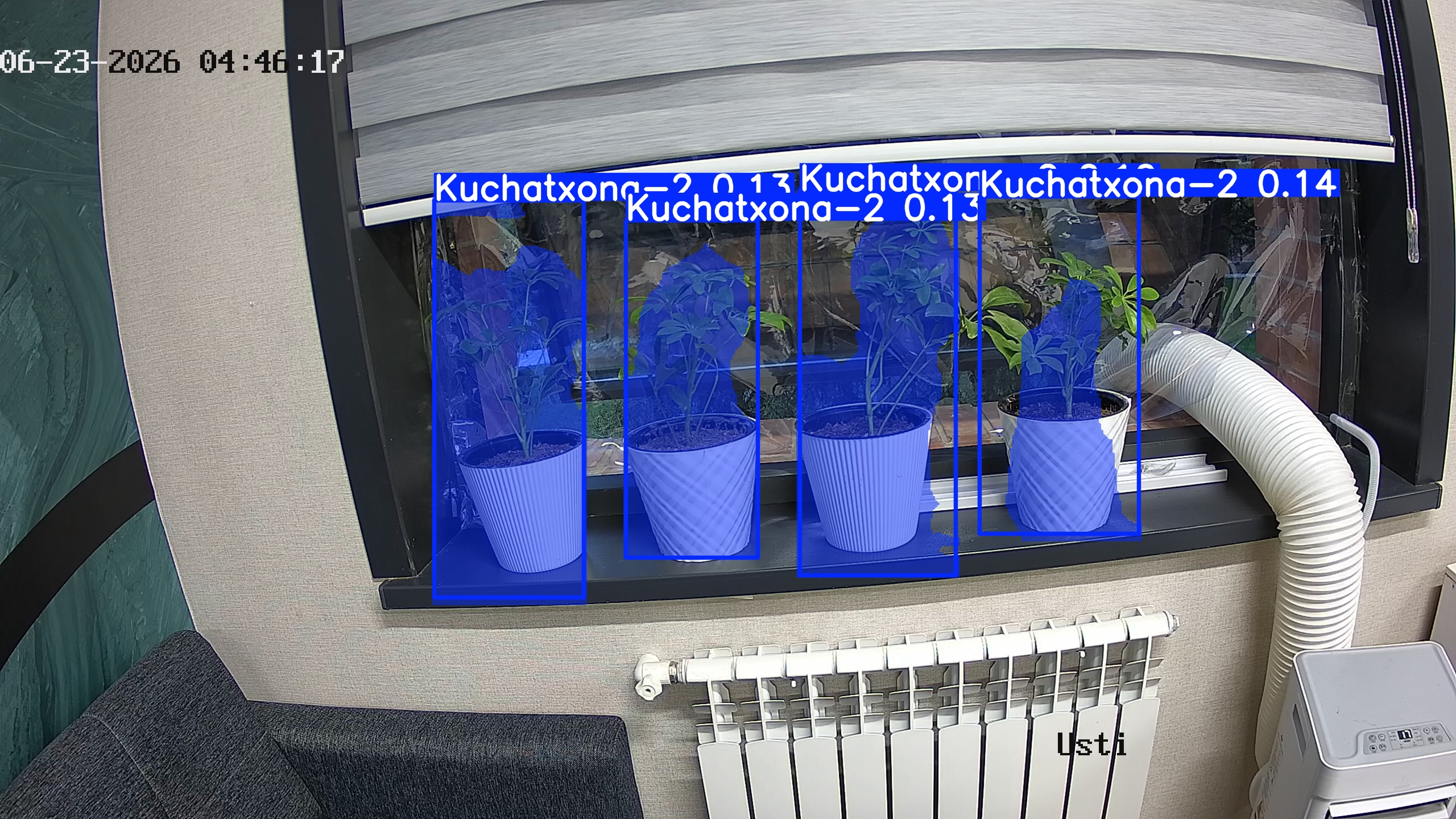 seedling_2026-06-23_04-46-32.jpg