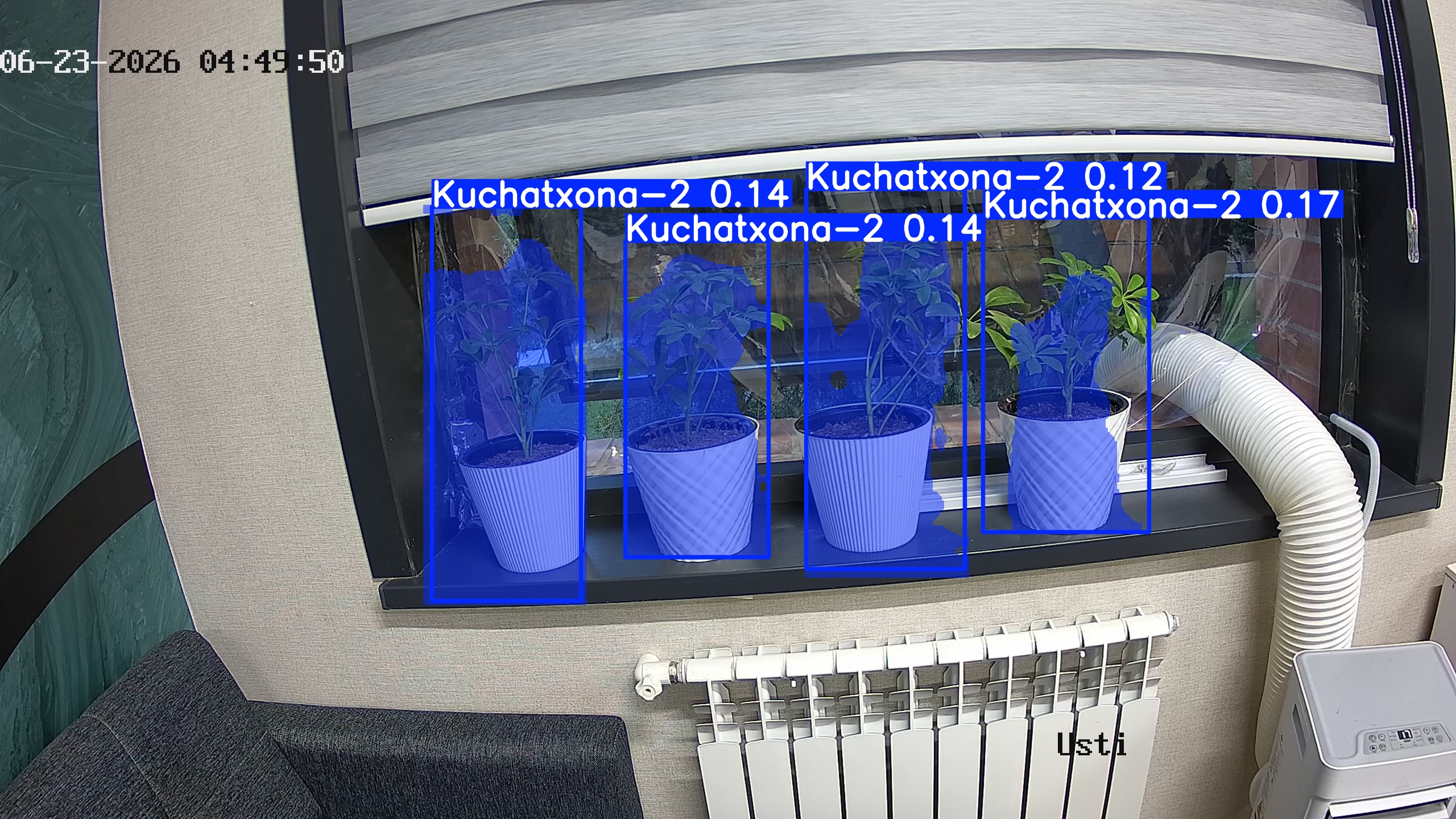 seedling_2026-06-23_04-50-05.jpg