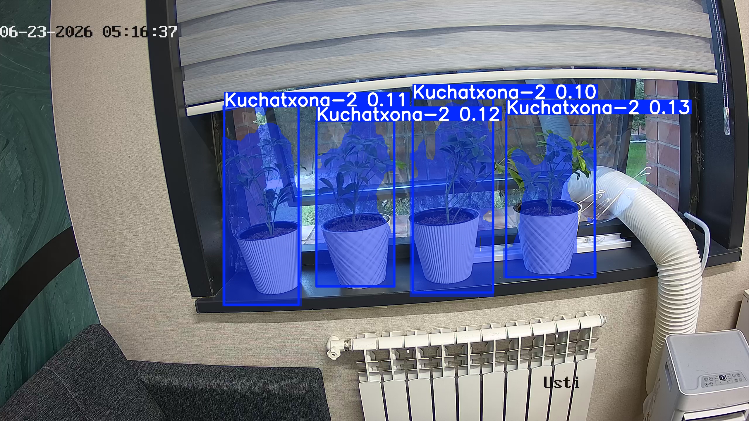 seedling_2026-06-23_05-16-48.jpg