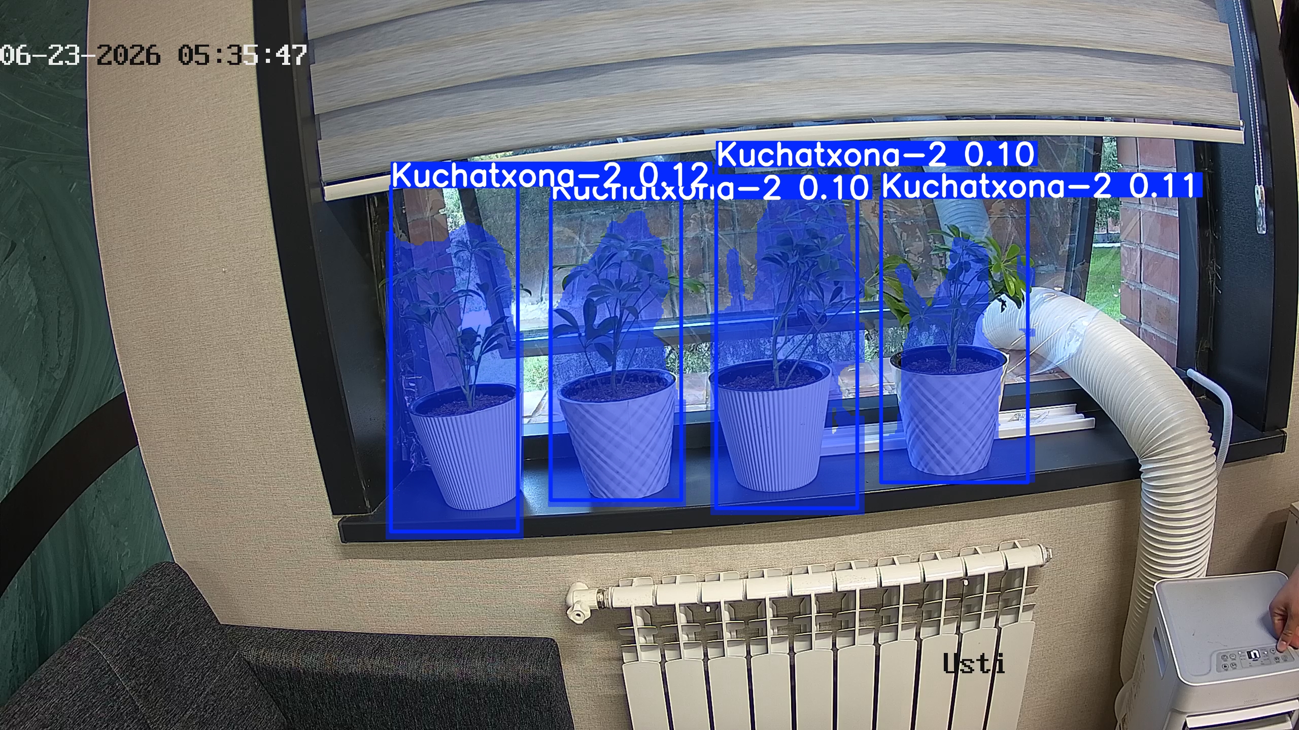 seedling_2026-06-23_05-36-02.jpg
