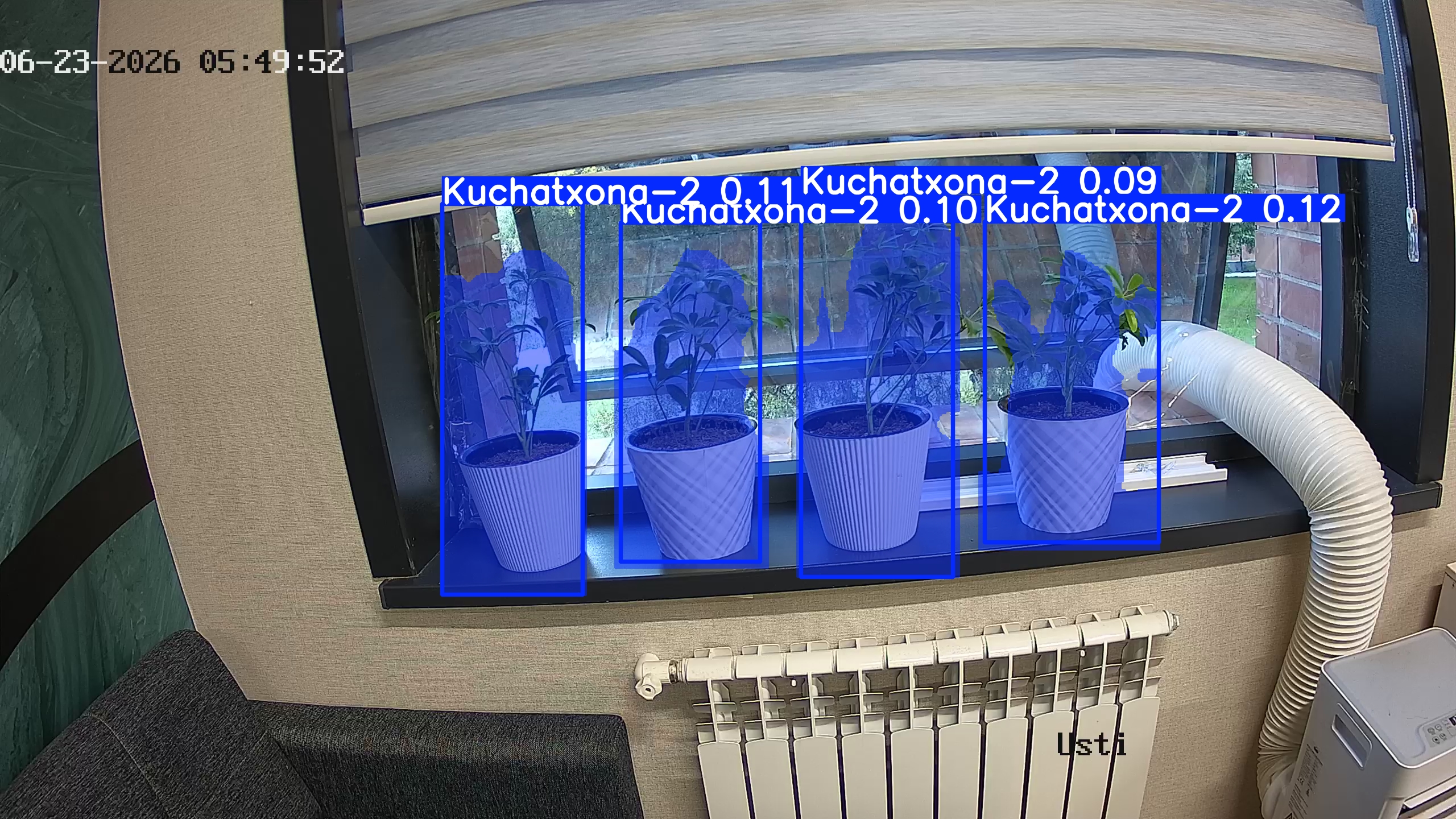 seedling_2026-06-23_05-50-07.jpg