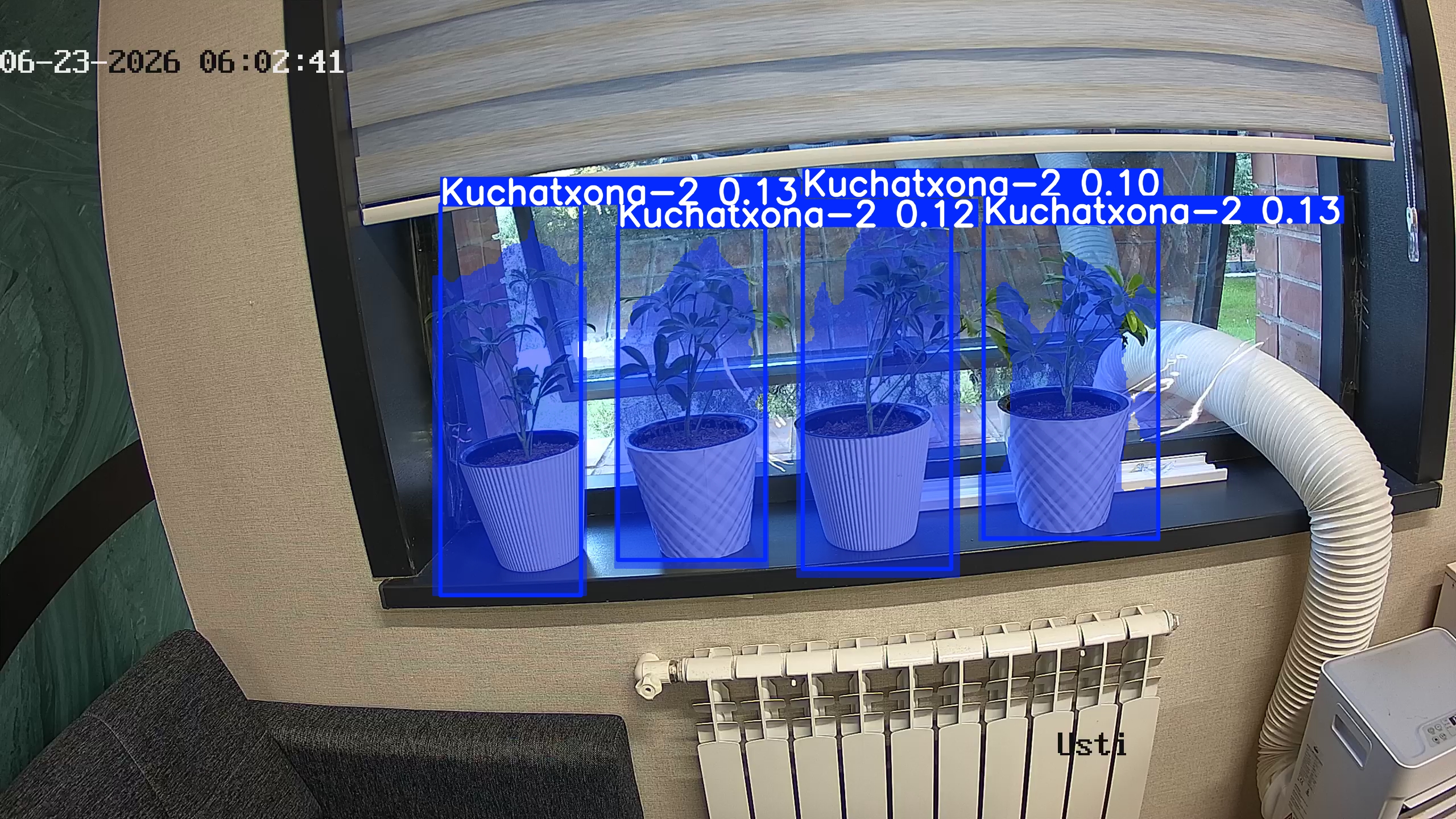 seedling_2026-06-23_06-02-56.jpg
