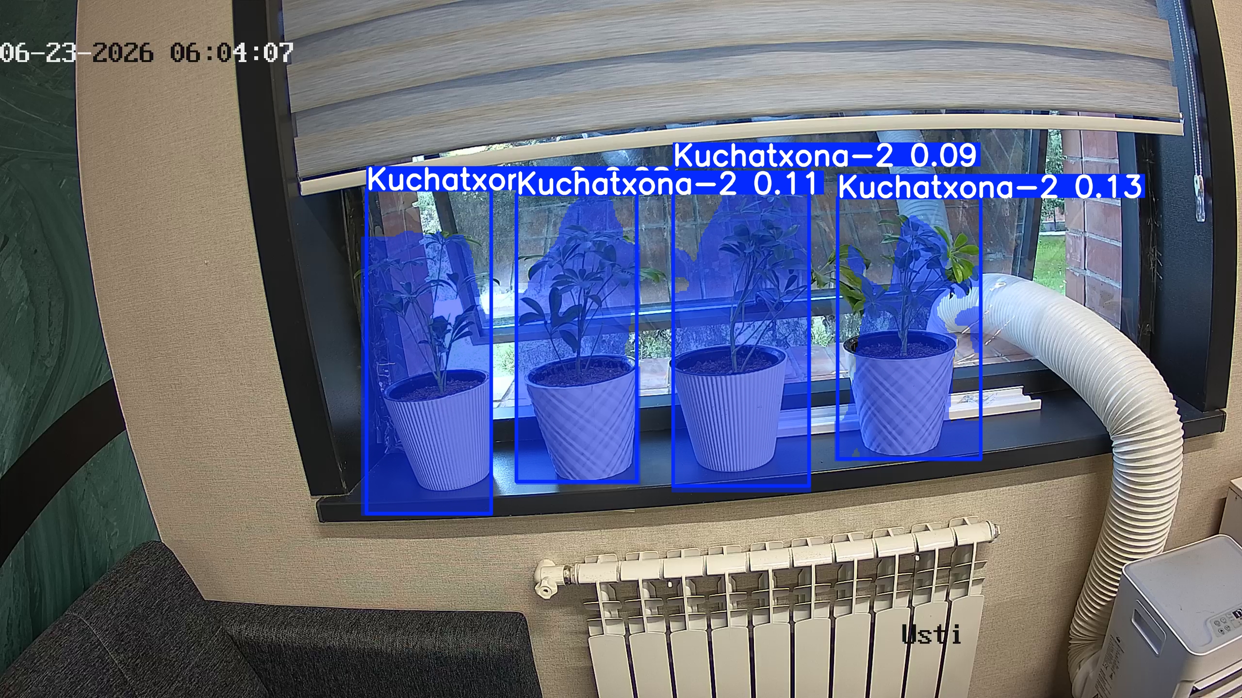 seedling_2026-06-23_06-04-22.jpg