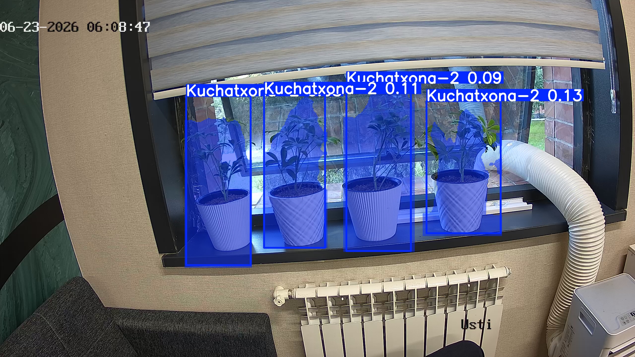 seedling_2026-06-23_06-09-03.jpg