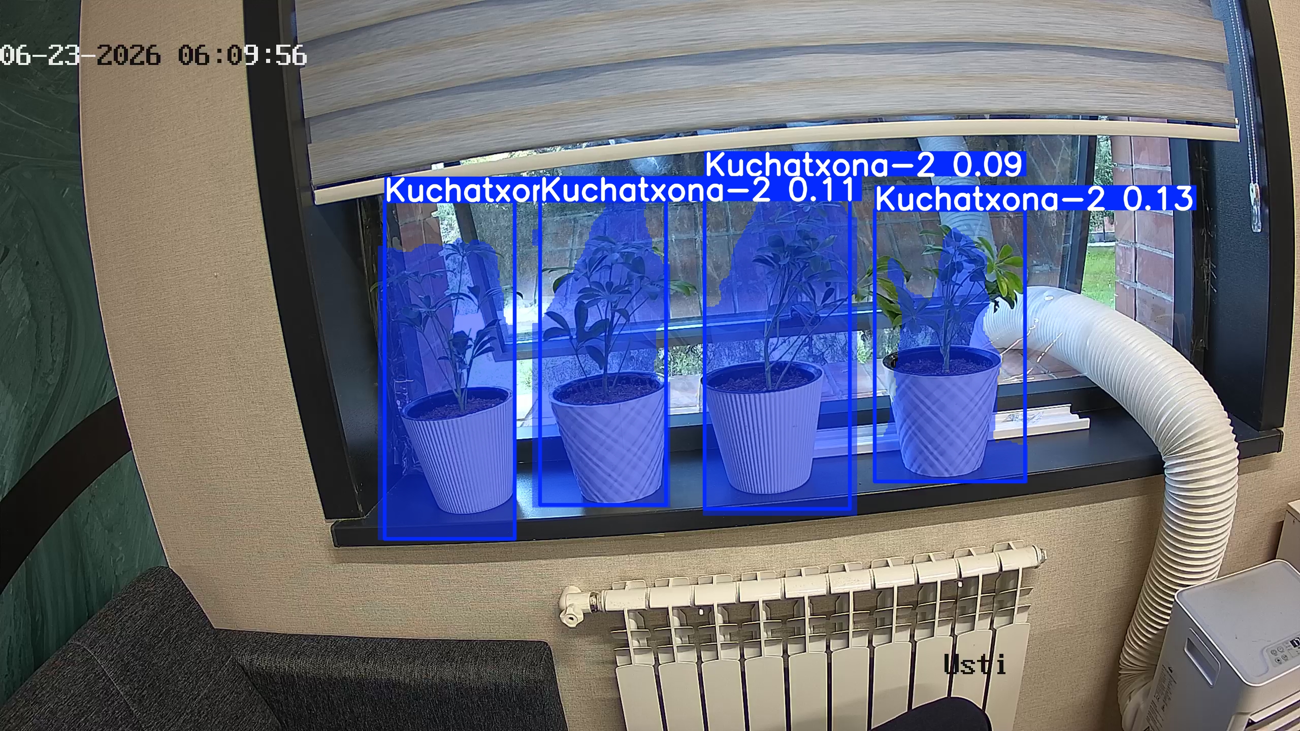 seedling_2026-06-23_06-10-12.jpg