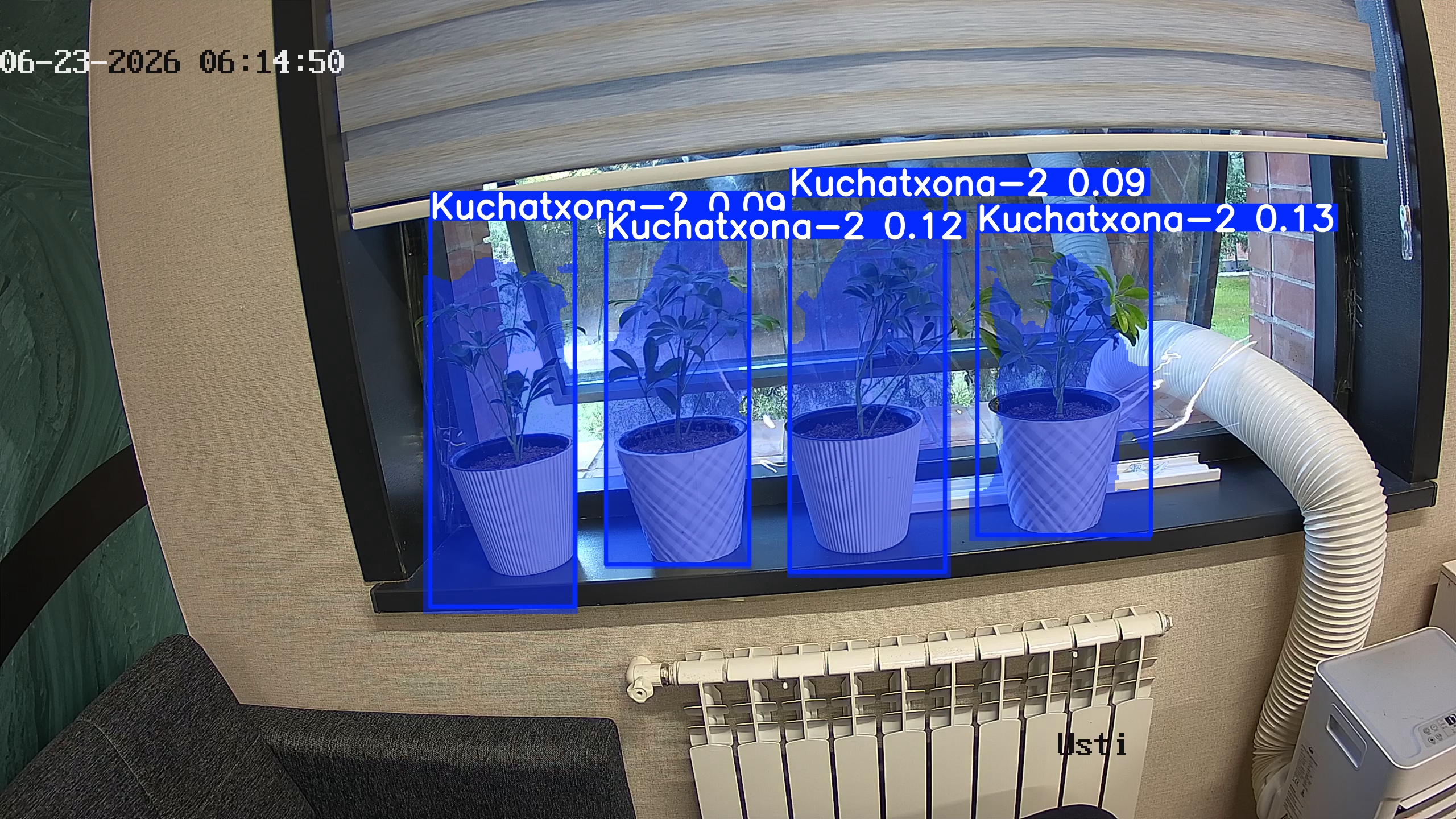 seedling_2026-06-23_06-15-00.jpg